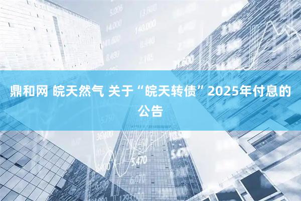 鼎和网 皖天然气 关于“皖天转债”2025年付息的公告